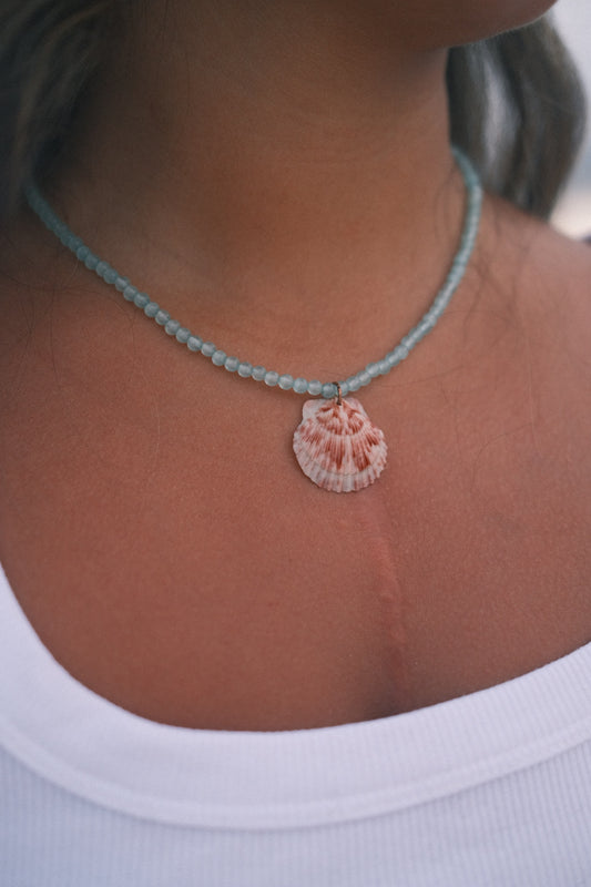 Cove Seashell Necklace