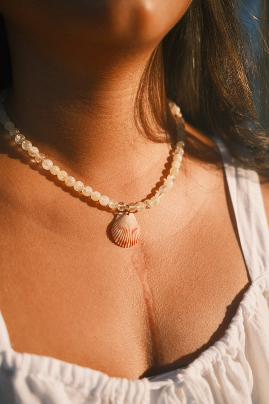 Sunny Seashell Necklace
