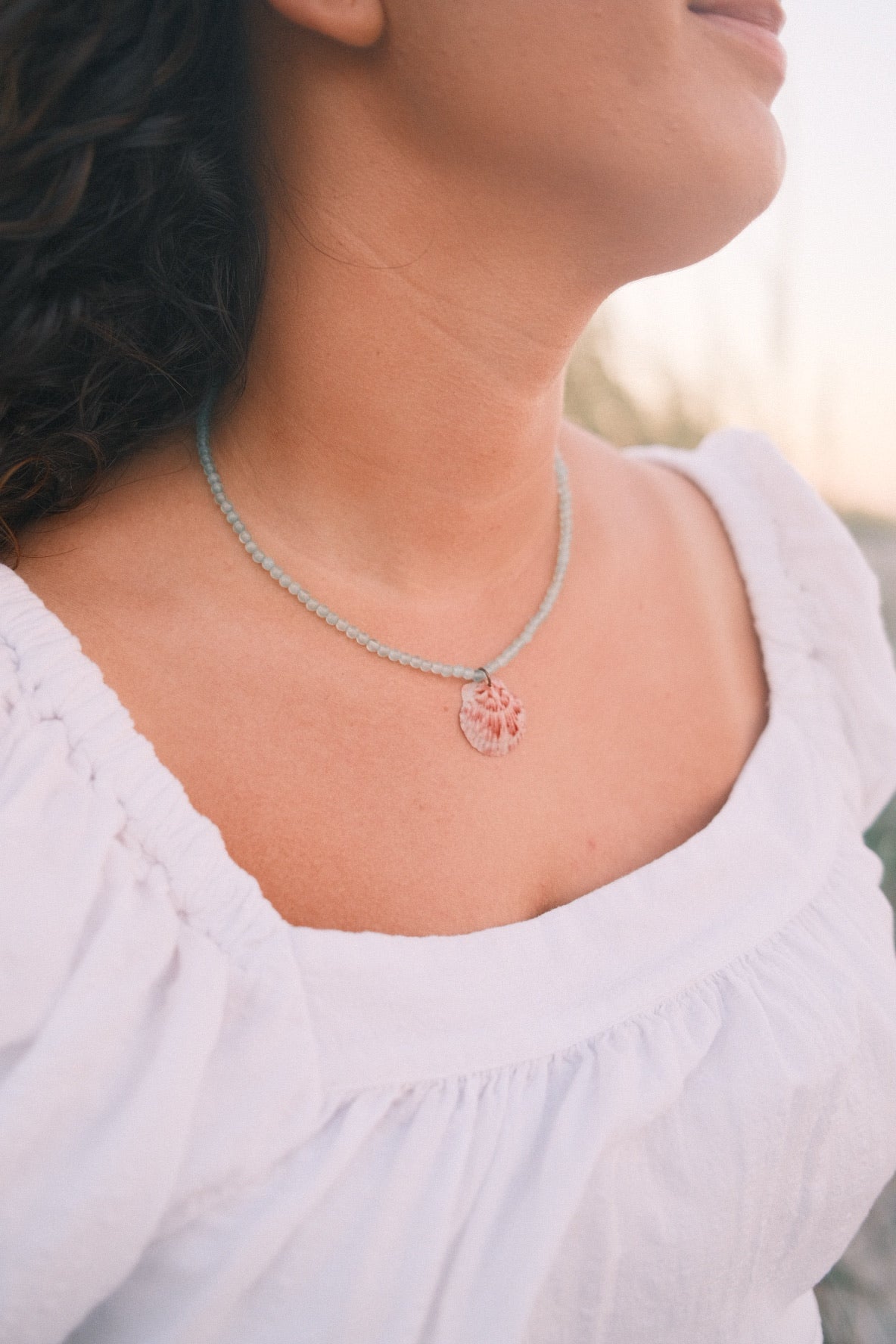 Cove Seashell Necklace